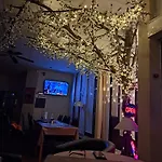 Edit