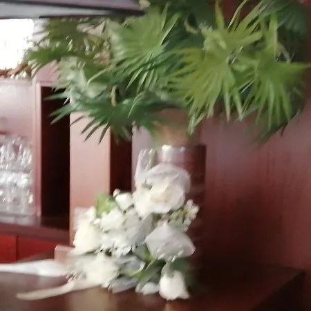 Edit 罗绍