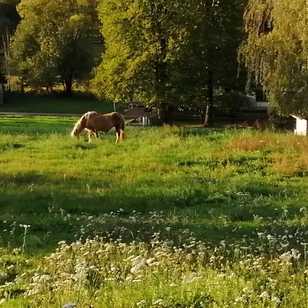 Frühstückspension Edit 3*