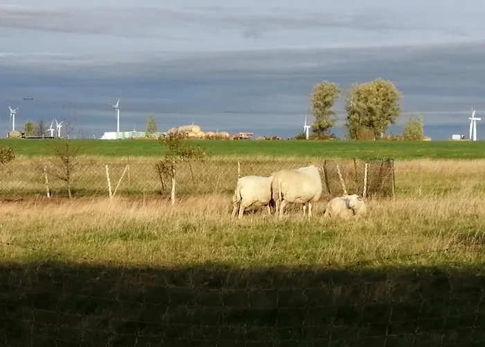 Bed & Breakfast Edit