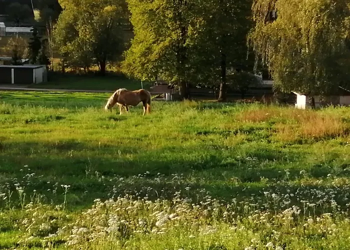 Bed & Breakfast Edit 3*